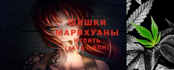шишки Белоозёрский