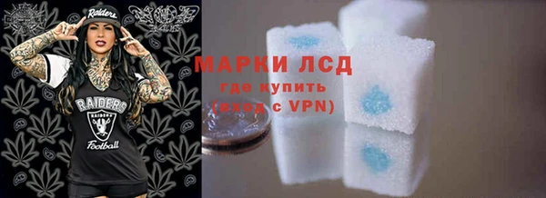 шишки Белоозёрский