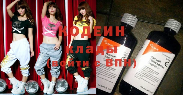 шишки Белоозёрский