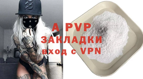 шишки Белоозёрский