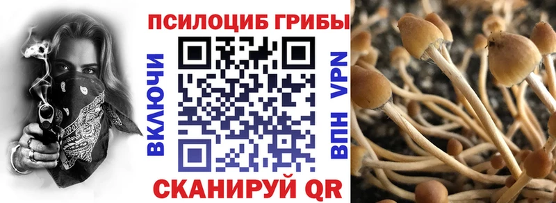 Псилоцибиновые грибы Magic Shrooms  кракен   Пикалёво 