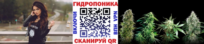 Канабис планчик  Пикалёво 